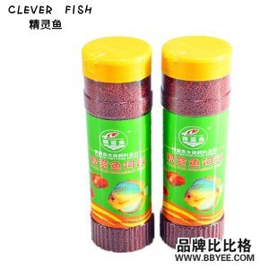 CLEVER FISH/