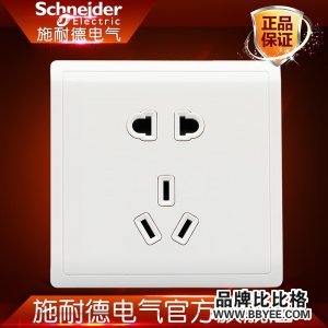 Schneider Electric/ʩ͵